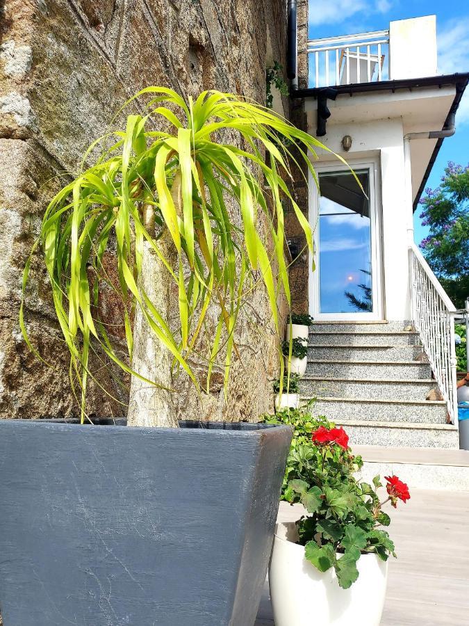 Villa Pepe, Casa Compartida Pontevedra Bagian luar foto